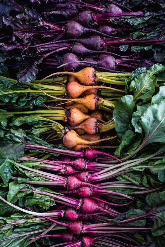 Robust in The Sacred Middle