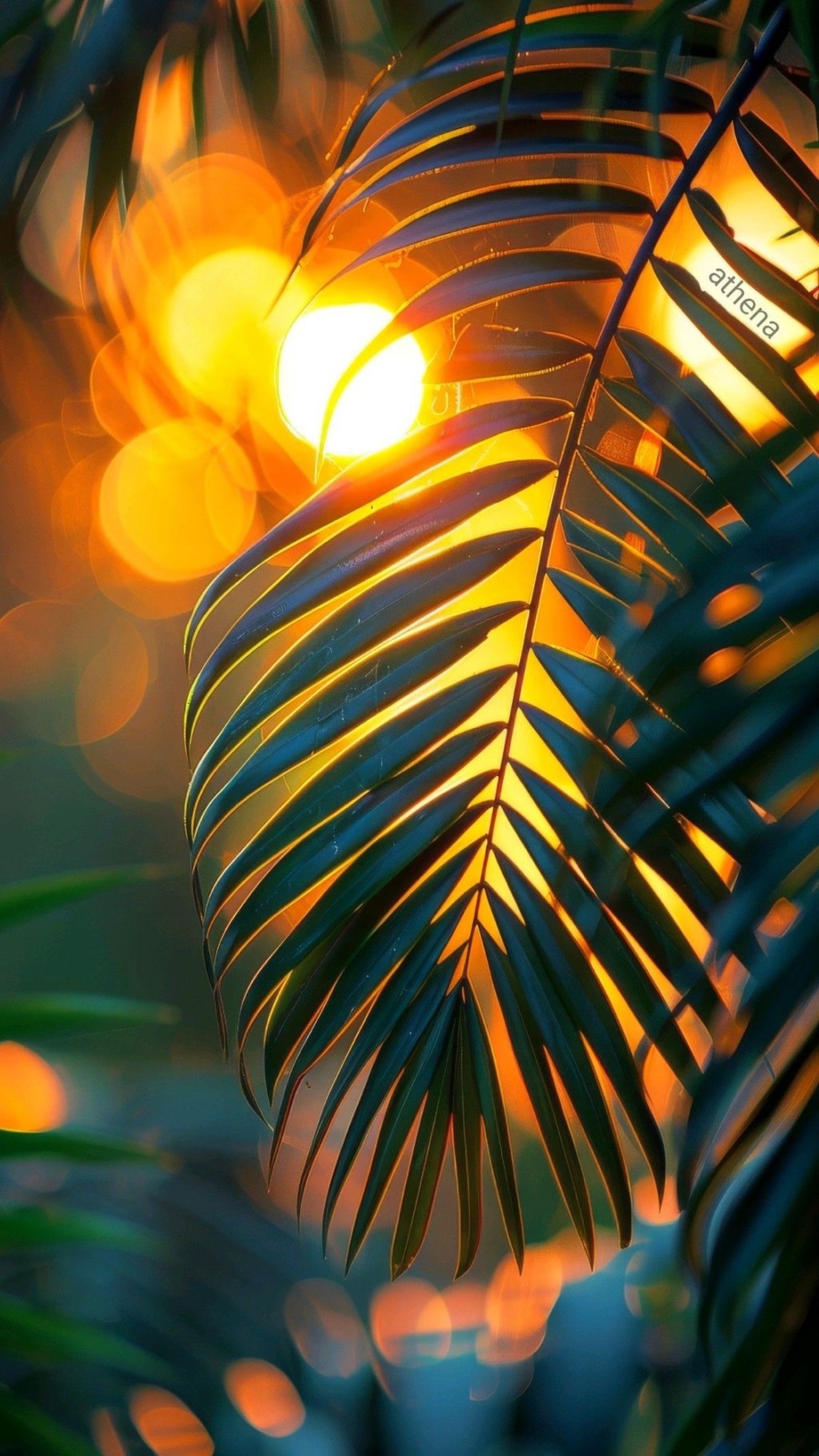 Last Sip of the Season